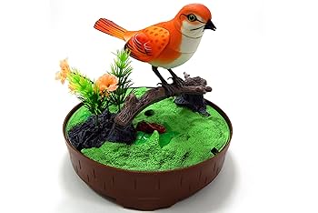 Amazon.com: Az Import & Trading BC507G Singing & Chirping